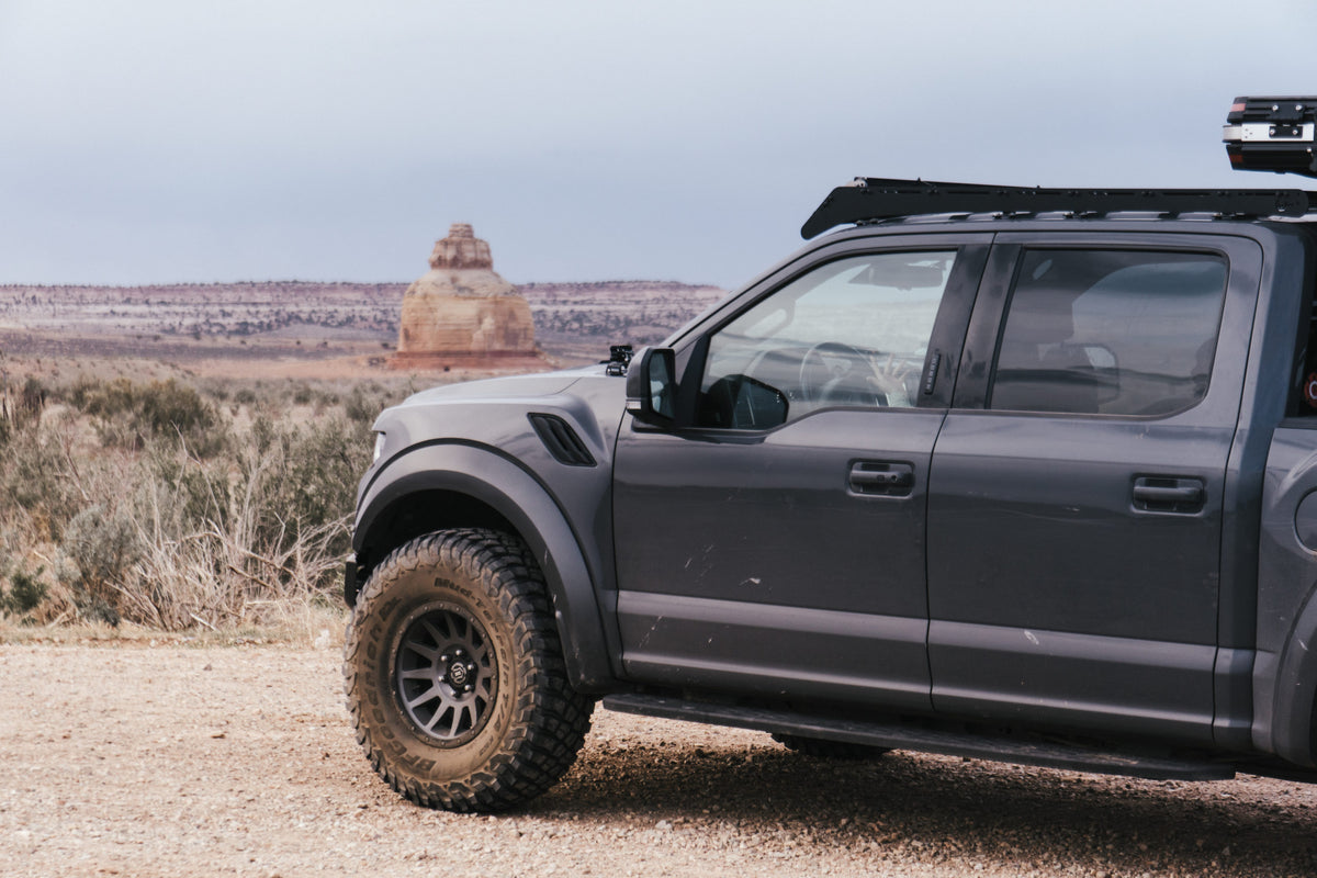 Ford Raptor / F150 Prinsu Roof Rack 2015-2020