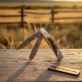 Dual-Blade Stag Slipjoint Folder knife Stag Horn Handle, Steel Bolster, Engraved Sheath