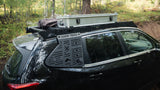 Forester Window Panel