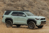 Photo - Close Up