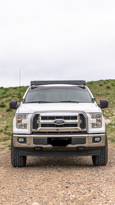 Ford Raptor / F150 Prinsu Roof Rack 2015-2020